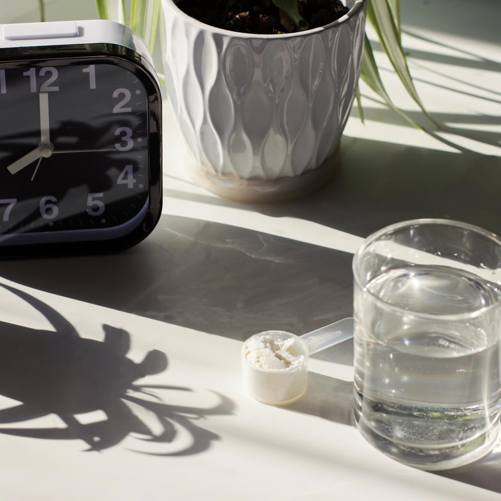 Collagen 101: Everything You Need To Know