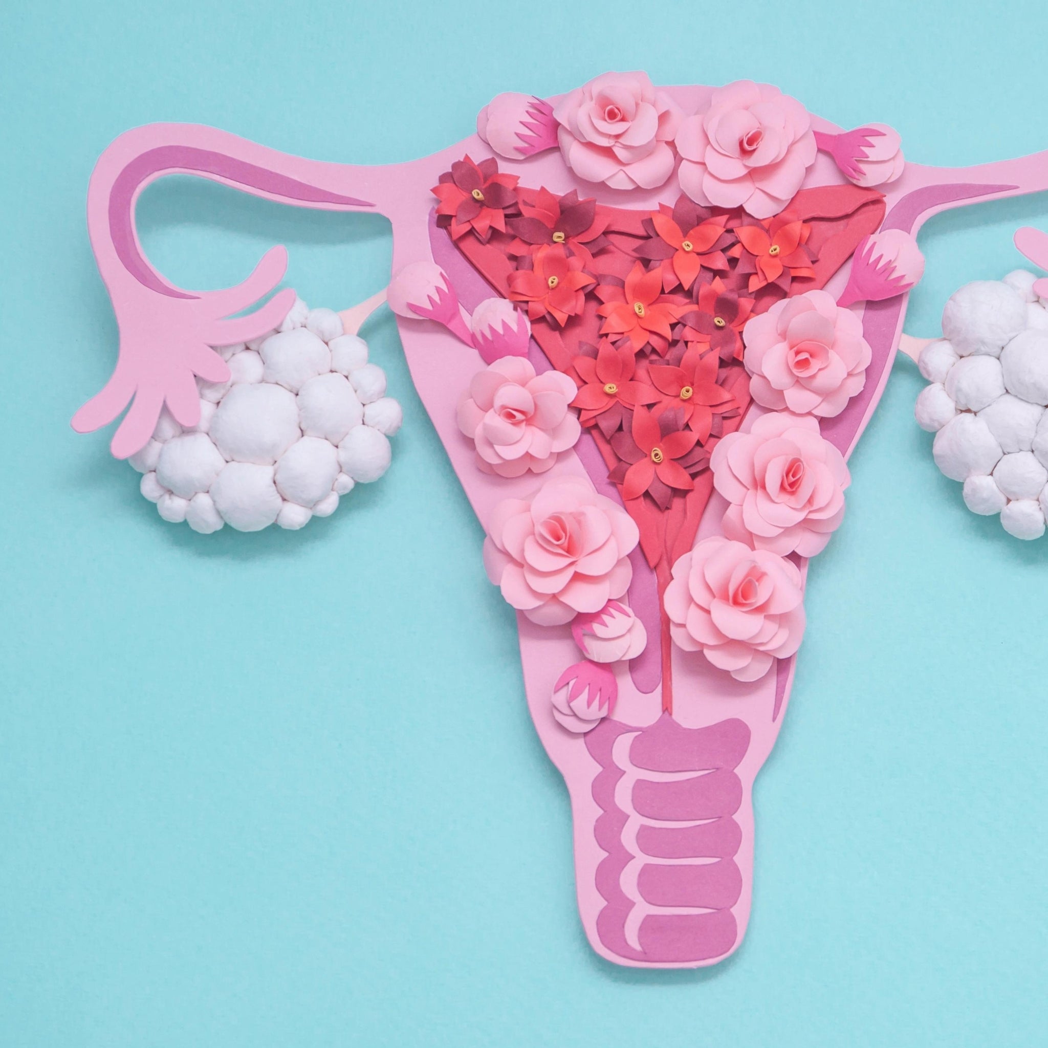 PCOS Awareness Month Wellness Guide