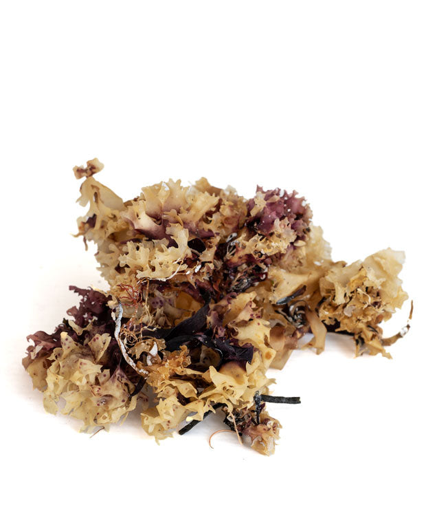 FINLANDIA IRISH MOSS  100g