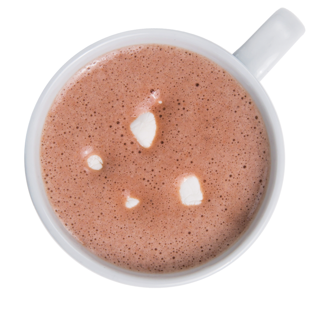 IDEAL PROTEIN S'MORES COCOA DRINK MIX - 1 PACK