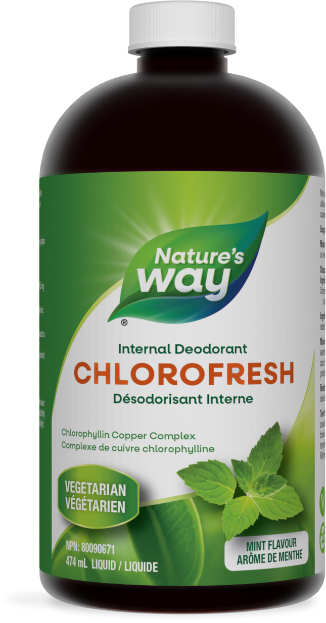 NATURES WAY CHLOROFRESH MINT 474ml