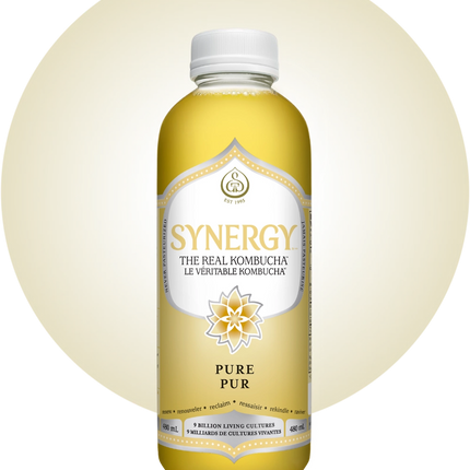 GT'S SYNERGY KOMBUCHA PURE 480ml (F)