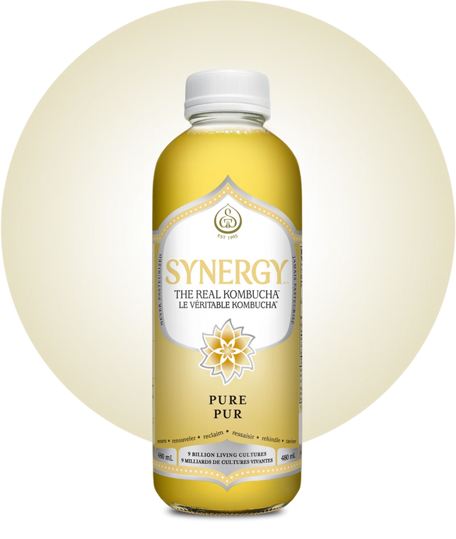 GT'S SYNERGY KOMBUCHA PURE 480ml (F)