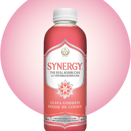 GT'S SYNERGY KOMBUCHA GUAVA GODDESS 480ml (F)