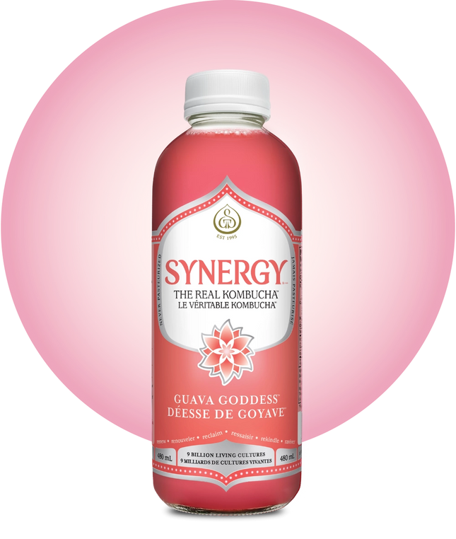 GT'S SYNERGY KOMBUCHA GUAVA GODDESS 480ml (F)