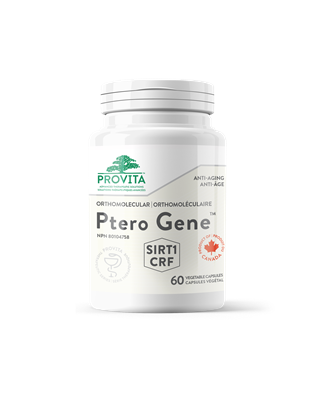 PROVITA PTERO GENE 60粒膠囊