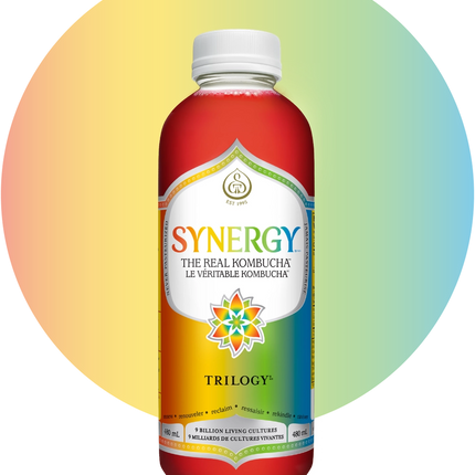 GT'S SYNERGY KOMBUCHA TRILOGY 480ml (F)