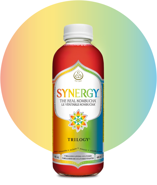 GT'S SYNERGY KOMBUCHA TRILOGY 480ml (F)