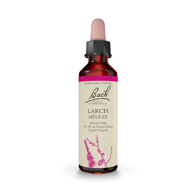 巴赫落叶松 20ml