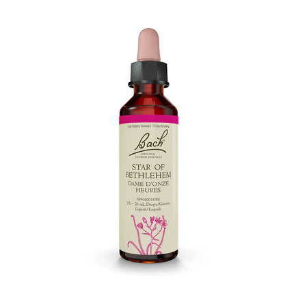 BACH STAR OF BETHLEHEM 20ml