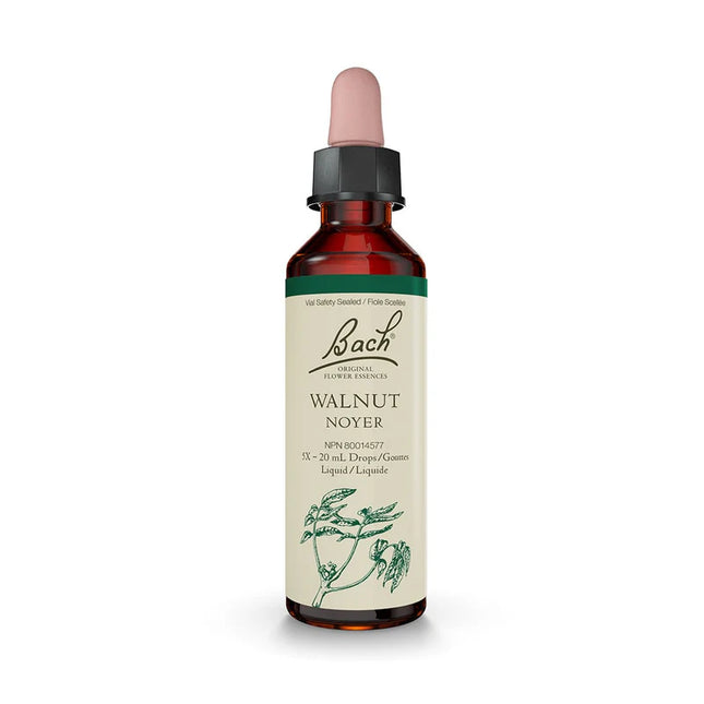 巴赫核桃 20ml