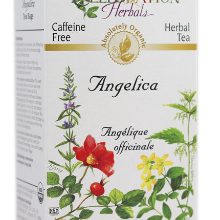 CELEBRATION HERBALS TEA ANGELICA TEABAGS 24CT ORGANIC