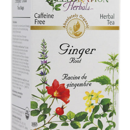 CELEBRATION HERBALS TEA GINGER ROOT TEABAGS 24CT ORGANIC
