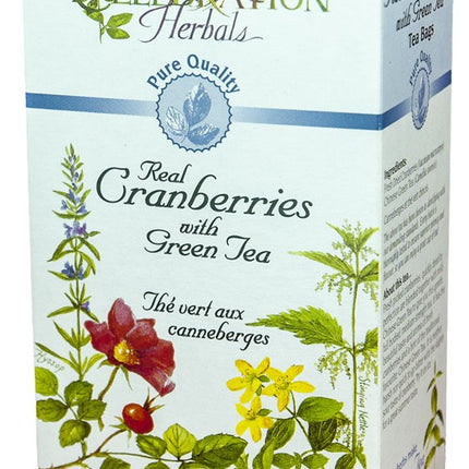 CELEBRATION HERBALS TEA GREEN W CRANBERRIES TEABAGS 24CT PURE QUALITY