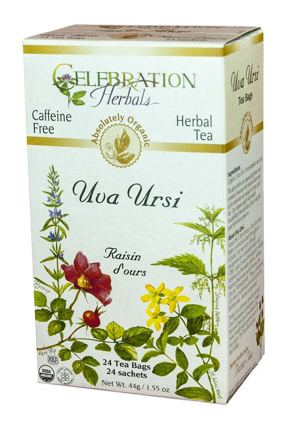 CELEBRATION HERBALS TEA UVA URSI TEABAGS 24CT ORGANIC
