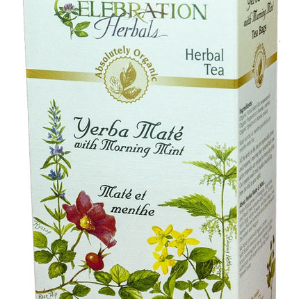 CELEBRATION HERBALS TEA YERBA MATE W/ MORNING MINT TEABAGS 24CT ORGANIC
