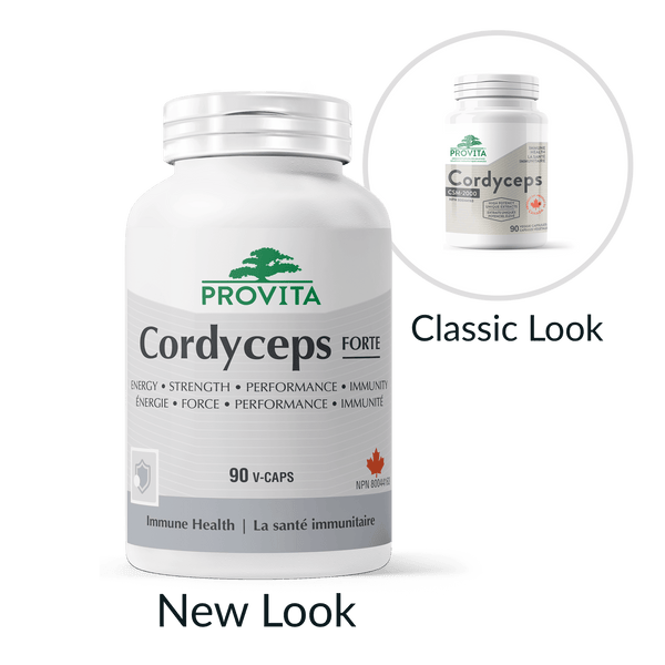 PROVITA CORDYCEPS 90 CAPS