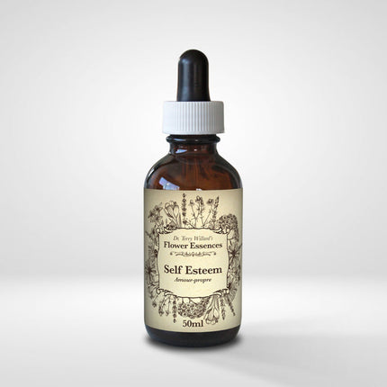 HARMONIC ARTS SELF ESTEEM BLEND TINCTURE 50ml