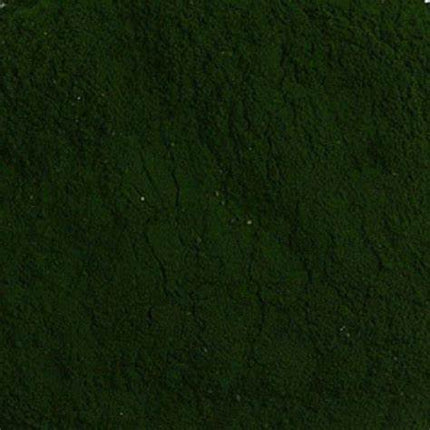 HARMONIC ARTS SPIRULINA PWD 454g