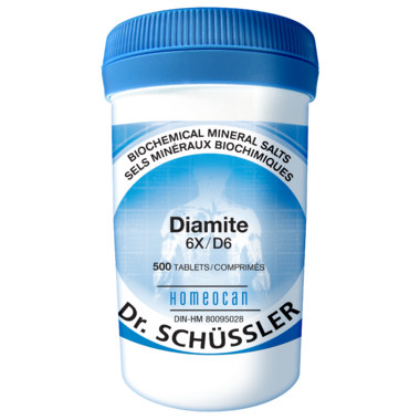 HOMEOCAN NO. 13 DIAMITE 6X 500片裝