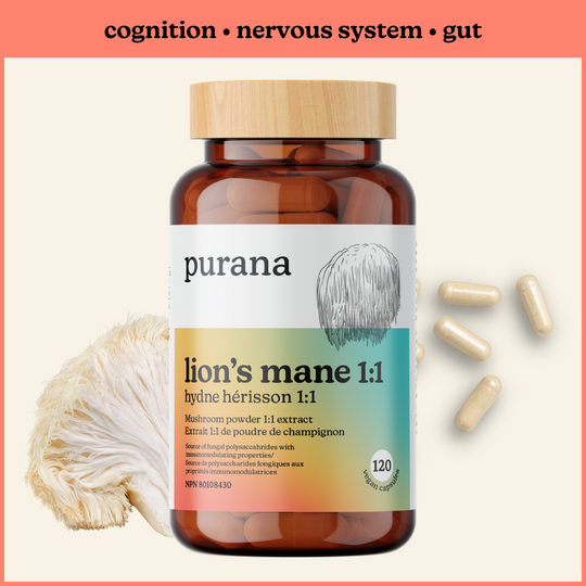 PURANA 獅鬃菇 1:1 120粒