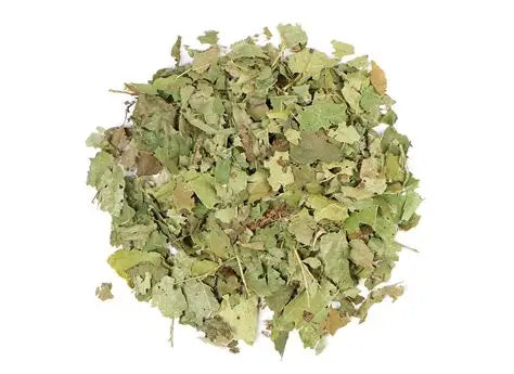 FINLANDIA WITCH HAZEL LEAF C/S 50g