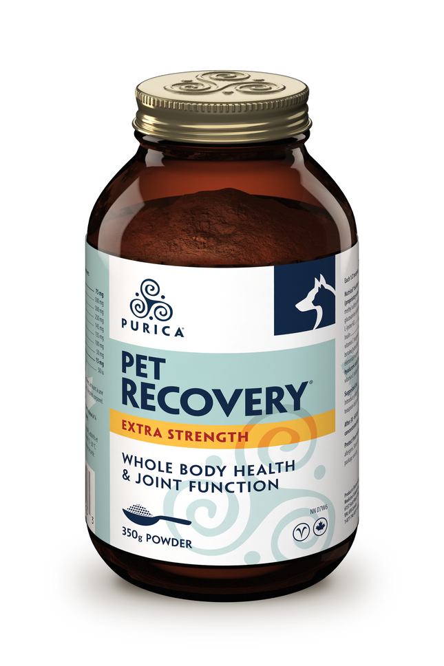 PURICA PET RECOVERY EXTRA STRENGTH POWDER 350g