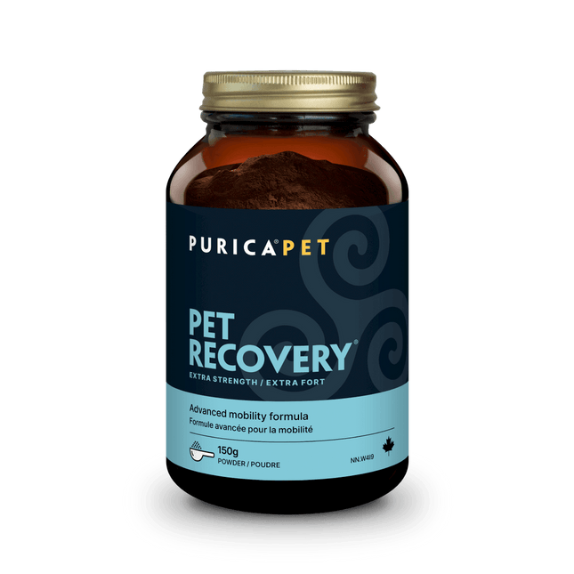 PURICA 寵物強效恢復粉 350克