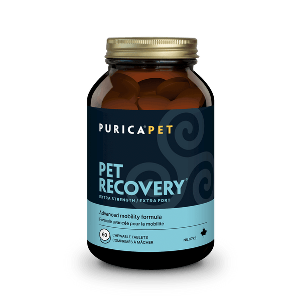PURICA PET RECOVERY REGULAR STRENGTH CHEWABLE 60tabs