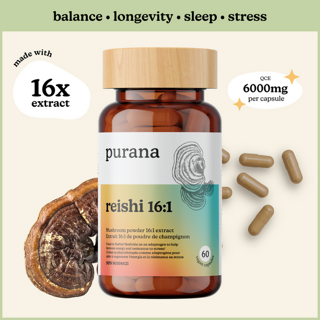 PURANA REISHI 16:1 60粒