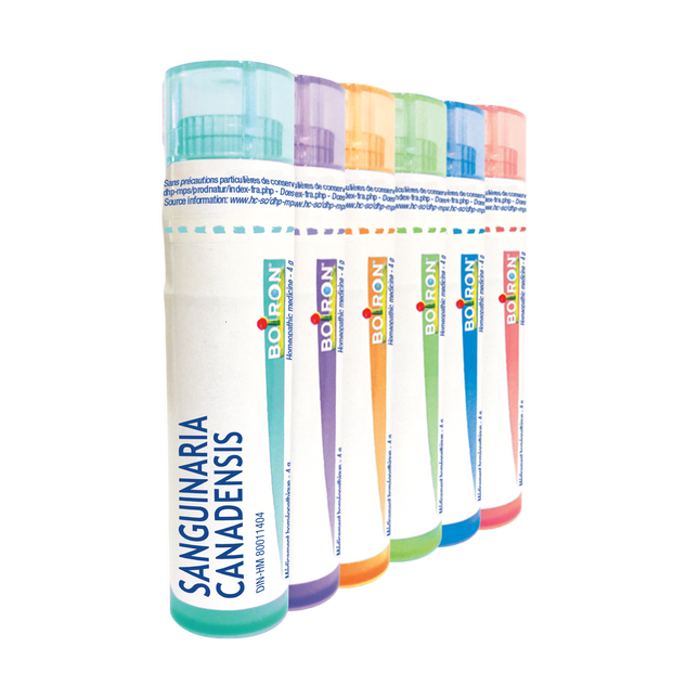 BOIRON SANGUINARIA CANADENSIS 30ch