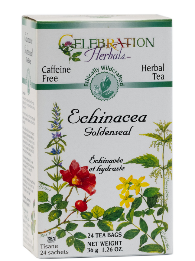 CELEBRATION HERBALS TEA ECHINACEA GOLDENSEAL TEABAGS 24CT WILDCRAFTED