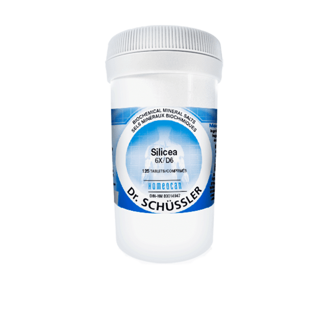 HOMEOCAN NO 12 SILICEA 6X 500TABS