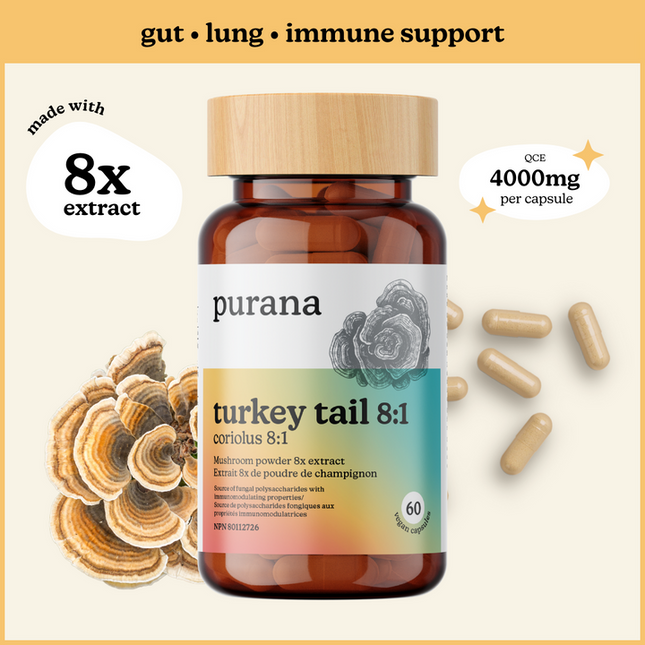 PURANA 火雞尾 8:1 60粒