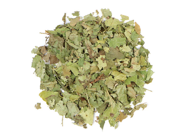 FINLANDIA WITCH HAZEL LEAF C/S 100G