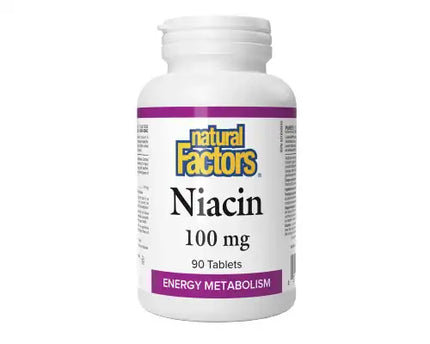 NATURAL FACTORS VITAMIN B3 Nicotinic Acid 100mg 90tabs