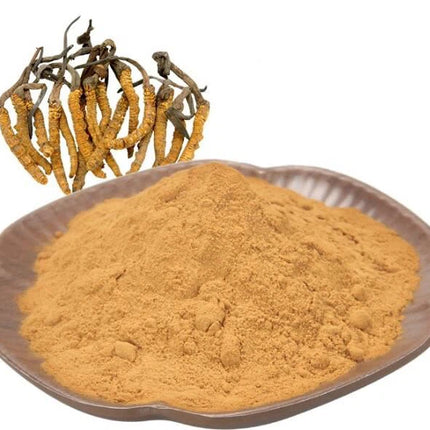 FINLANDIA CORDYCEPS CONCENTRATED POWDER 50g