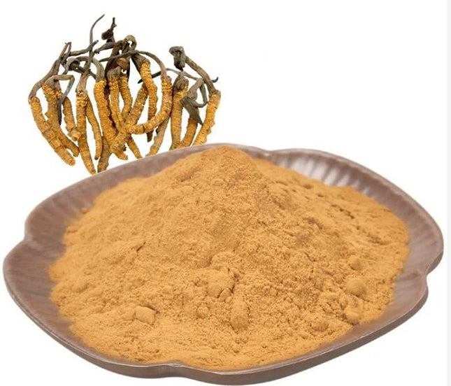 芬蘭蟲草濃縮粉 50克