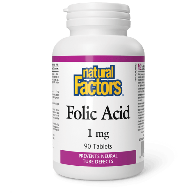 NATURAL FACTORS FOLIC ACID 1mg 90tabs