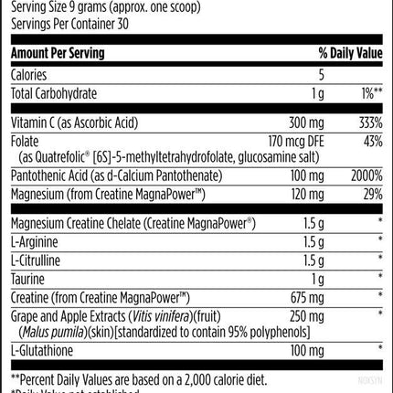 DESIGN FOR HEALTH NOX SYNERGY POWDER 270g  - GRAPE FLAVOUR