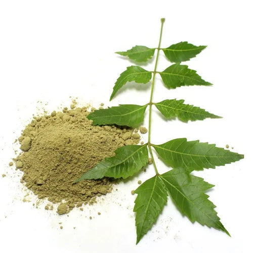 芬蘭印楝葉粉 100g