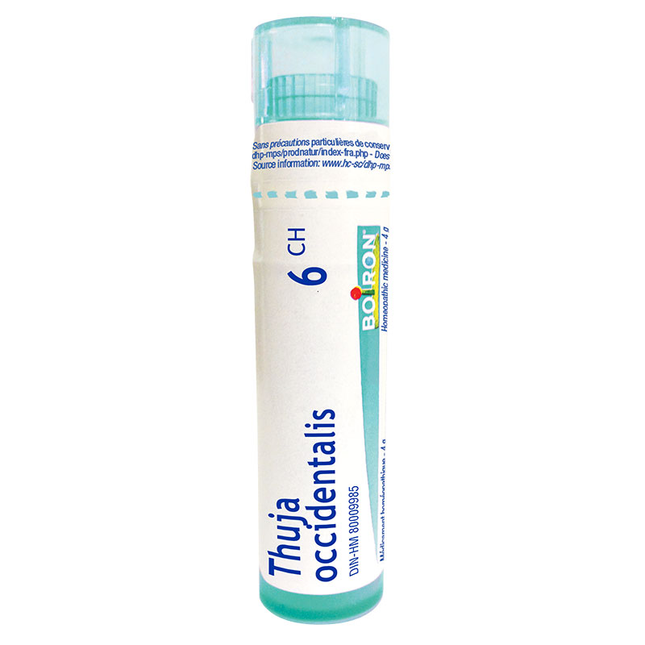 BOIRON THUJA OCCIDENTALIS 6ch