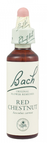 Bach Red Chestnut 20ml