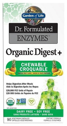 GARDEN OF LIFE DR. FORMULATED ORGANIC DIGEST + CHEWABLE 90tabs