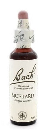 Bach Mustard 20ml