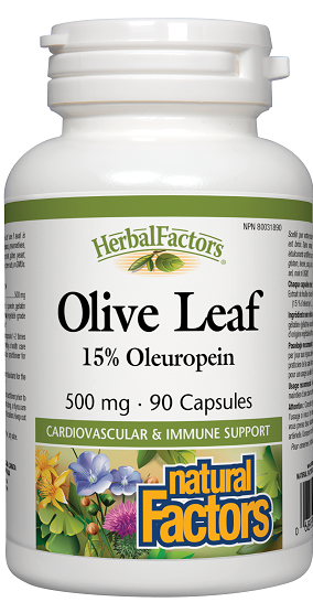 Natural Factors Olive Leaf 500mg 90caps
