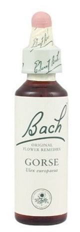 Bach Gorse 20ml