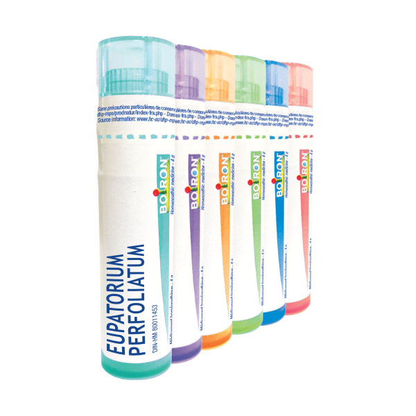 BOIRON EUPATORIUM PERFOLIATUM 30CH