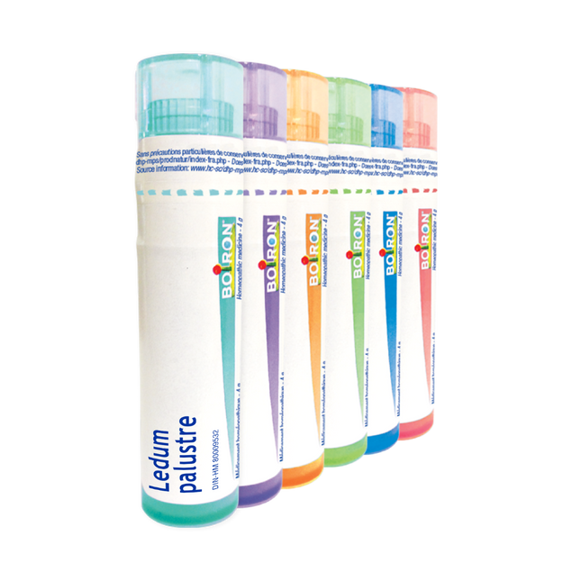 BOIRON LEDUM PALUSTRE 6CH