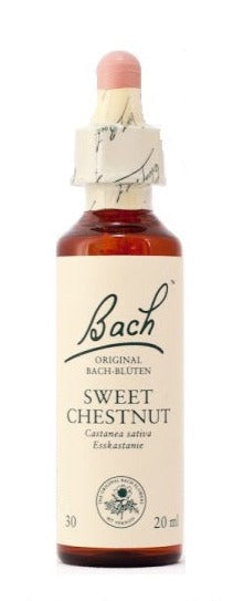 Bach Sweet Chestnut 20ml